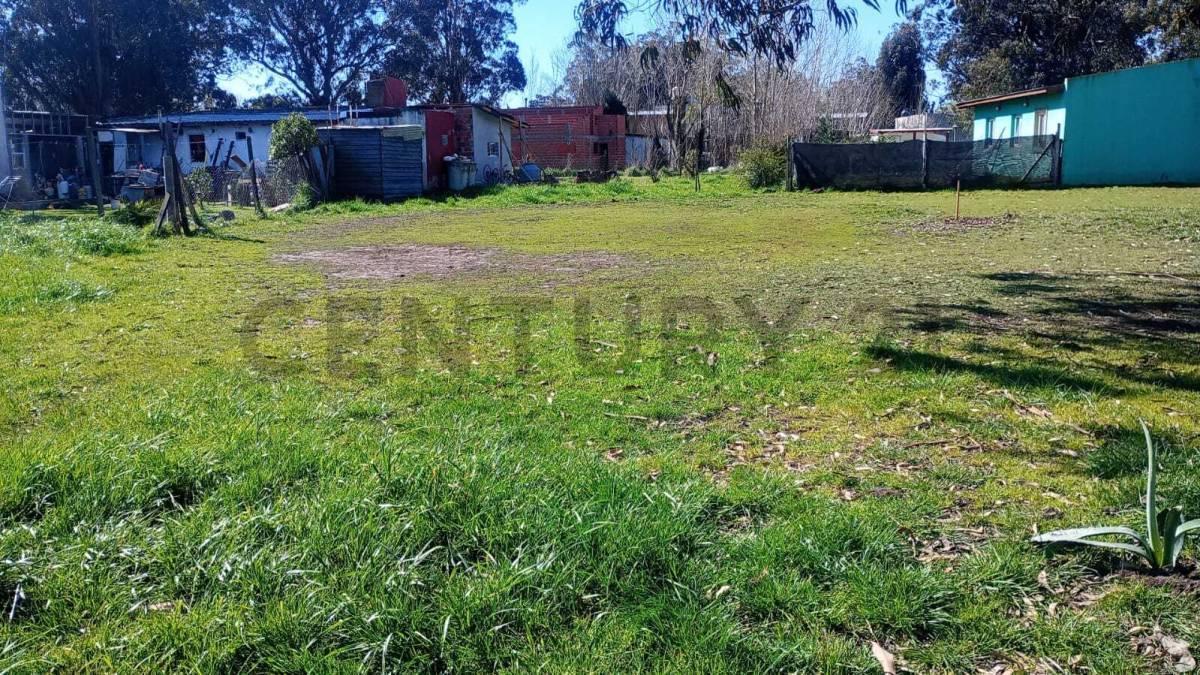 Foto de VENTA LOTE CAMET NORTE, imagen 1