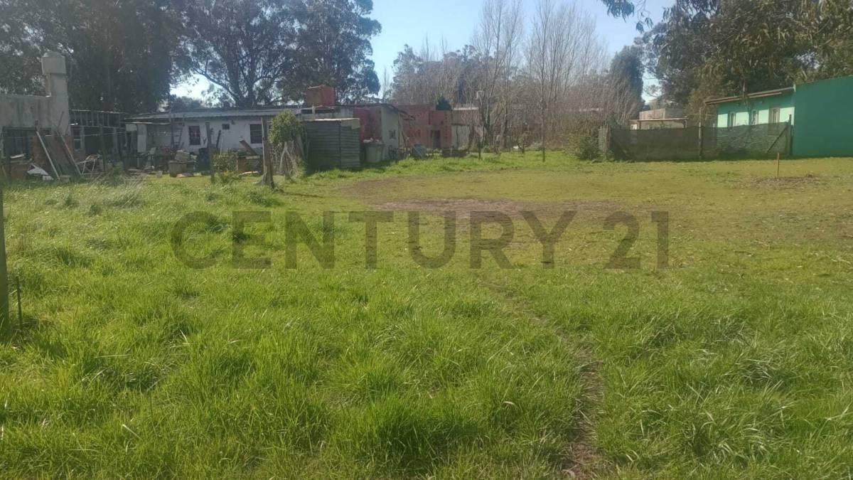 Foto de VENTA LOTE CAMET NORTE, imagen 2