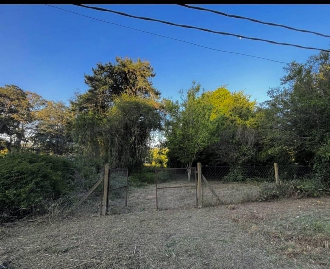 Foto de VENTA LOTE 654M2 SIERRA DE LOS PADRES, imagen 4