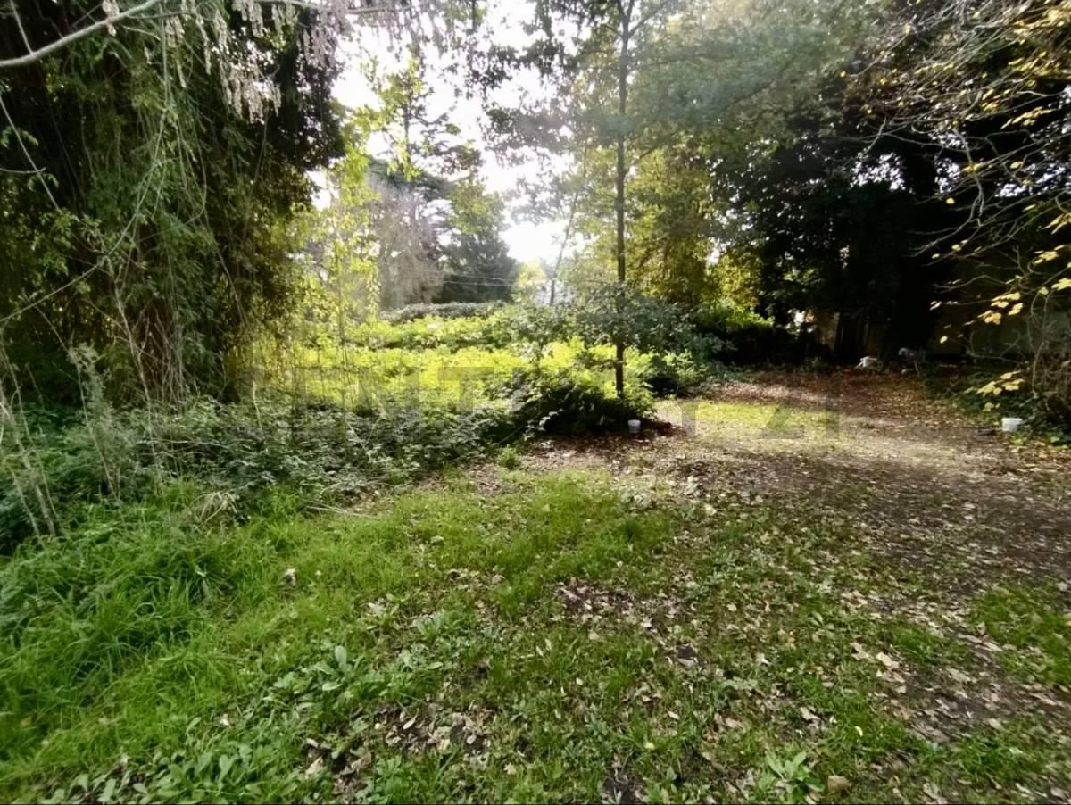 Foto de VENTA LOTE 654M2 SIERRA DE LOS PADRES, imagen 3