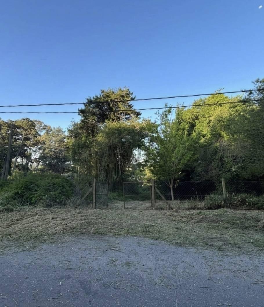 Foto de VENTA LOTE 654M2 SIERRA DE LOS PADRES, imagen 2