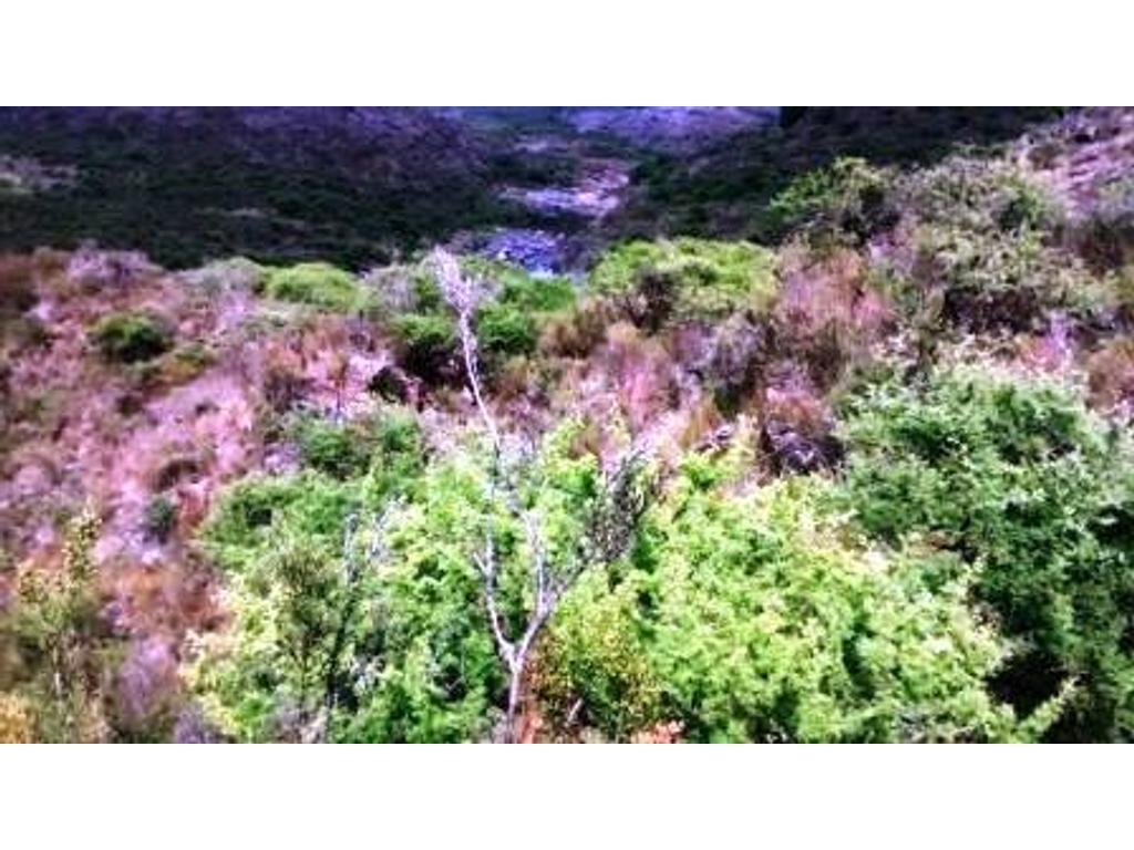 Excelente Campo en Riocito, Turistico, con Rio Que Lo Bordea en Su Totalidad. 4
