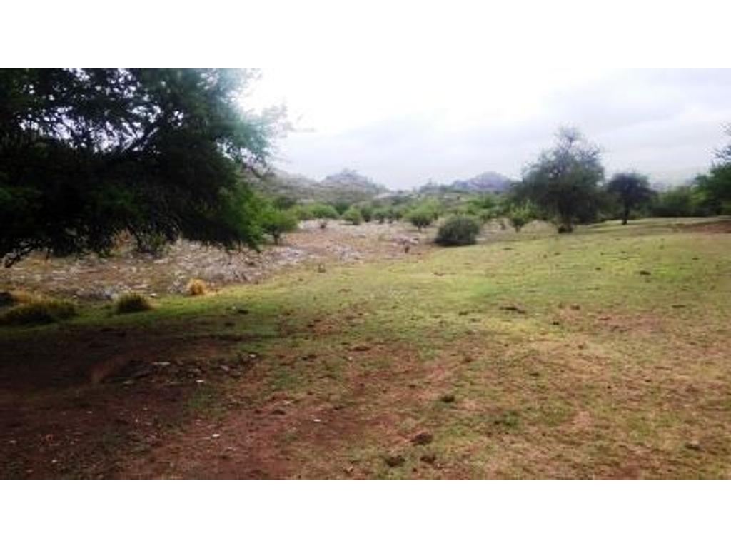 Excelente Campo en Riocito, Turistico, con Rio Que Lo Bordea en Su Totalidad. 2