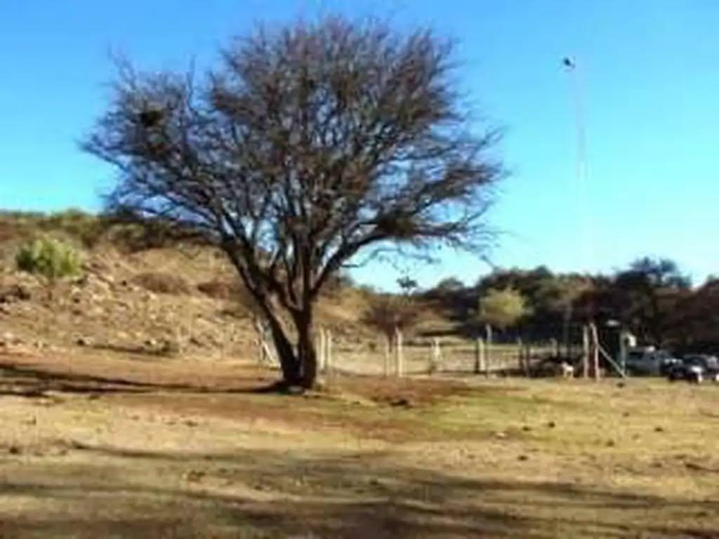 Foto de Terreno en Venta, imagen 3
