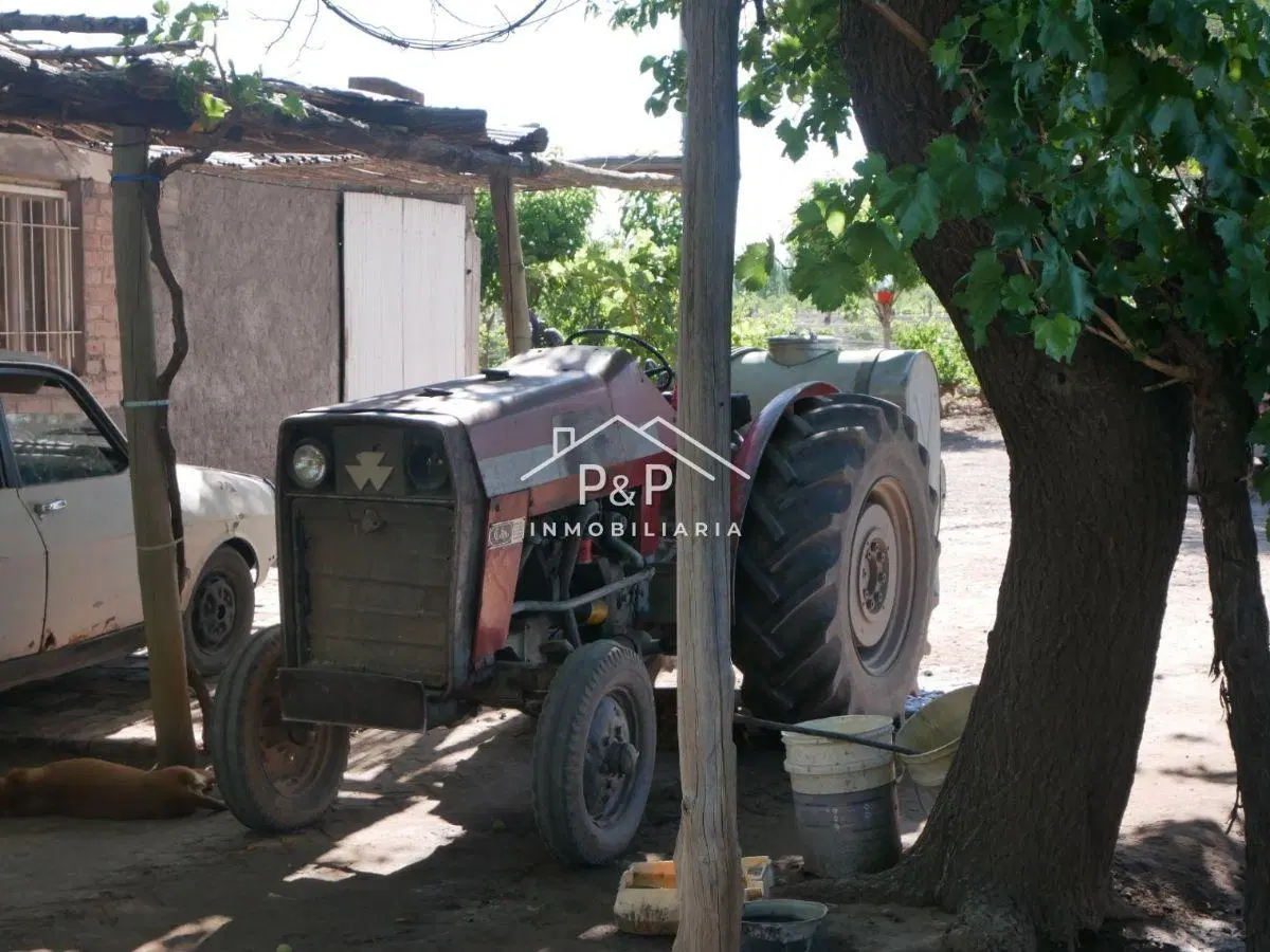 Finca en Producción Rama Caída 8