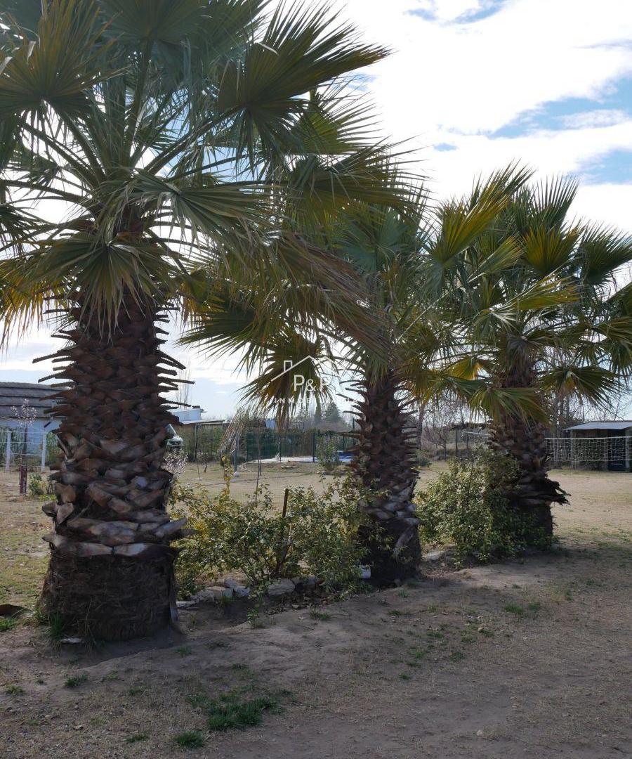 Foto de Casa venta - Las Paredes - Chmpañera Bianchi, imagen 5