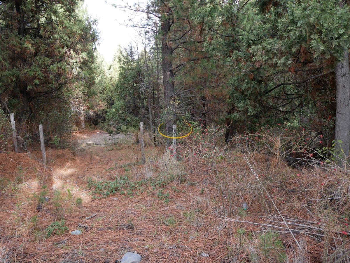 Foto de Terreno / Lote en venta de 2090m2 ubicado en El bolsón, imagen 1