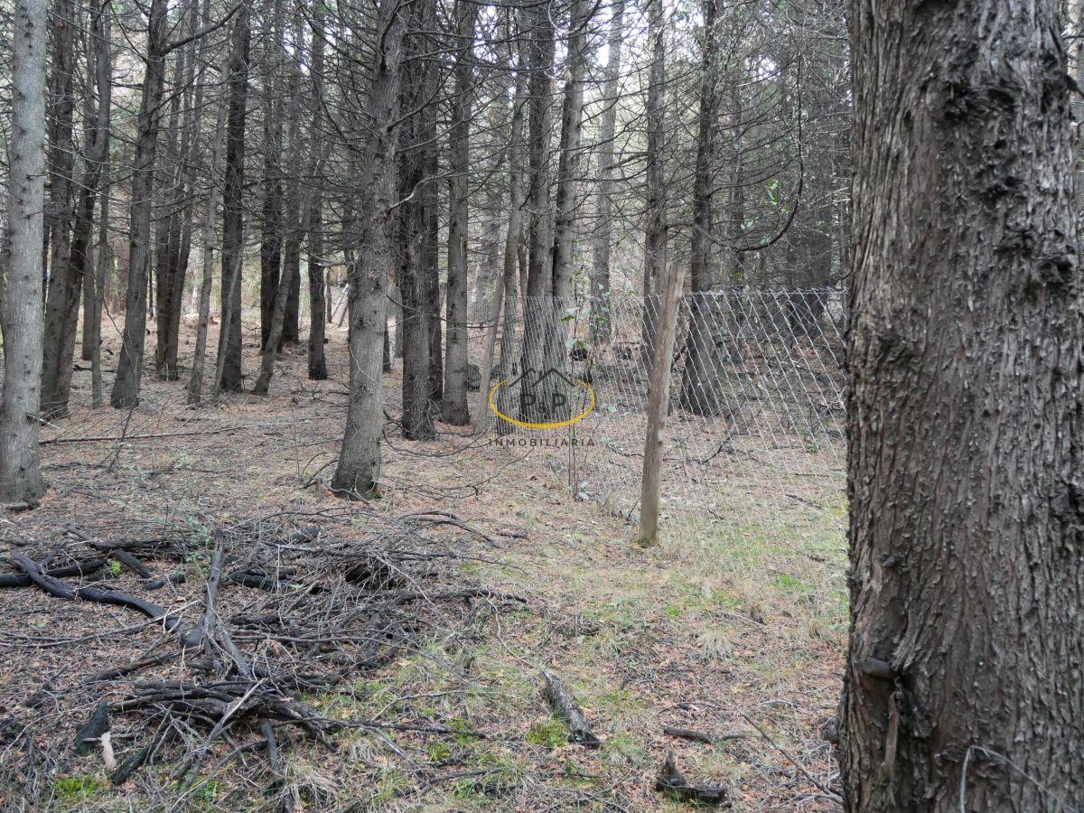 Foto de Terreno / Lote en venta de 2090m2 ubicado en El bolsón, imagen 5