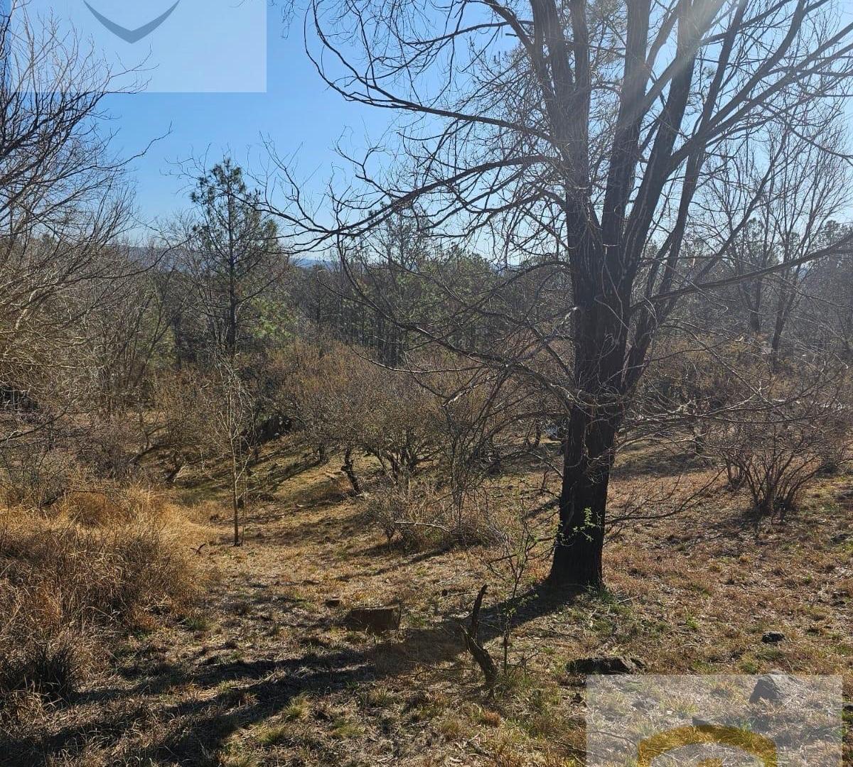 Foto de Terreno - Calamuchita, imagen 5