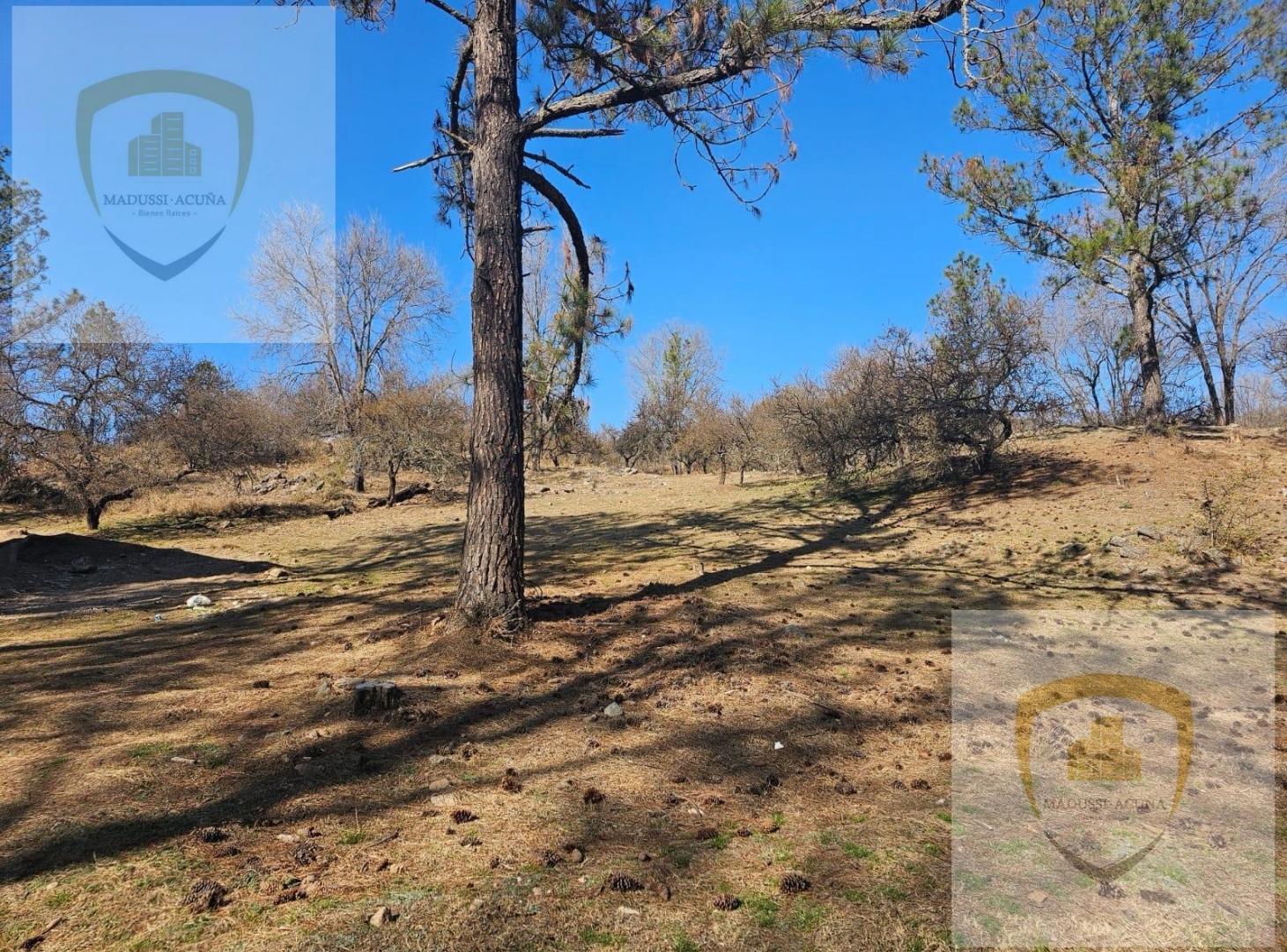 Foto de Terreno - Calamuchita, imagen 4