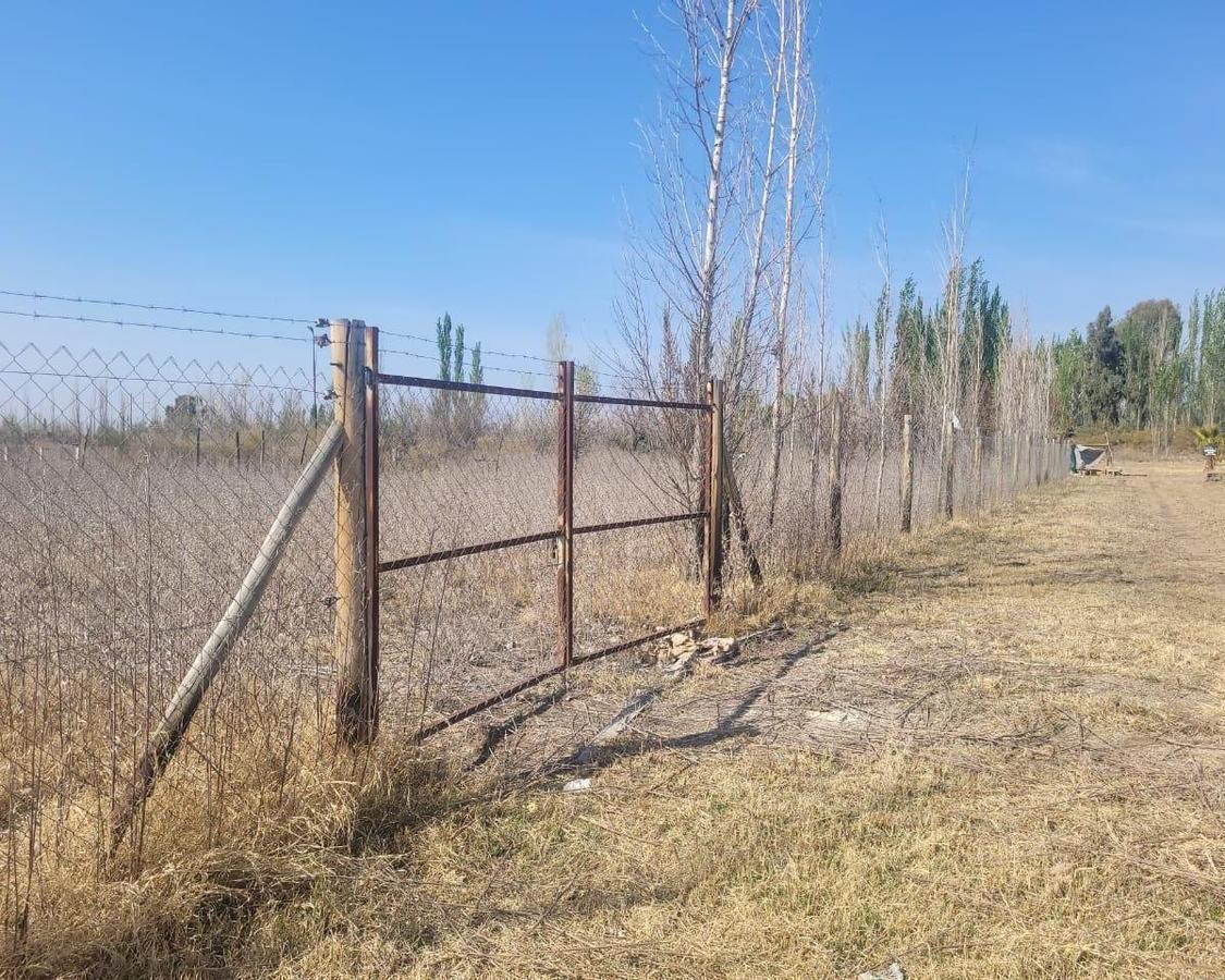 Foto de Lote en venta | Los Corralitos, Guaymallén | 2.000 m² · Con escritura ·, imagen 2