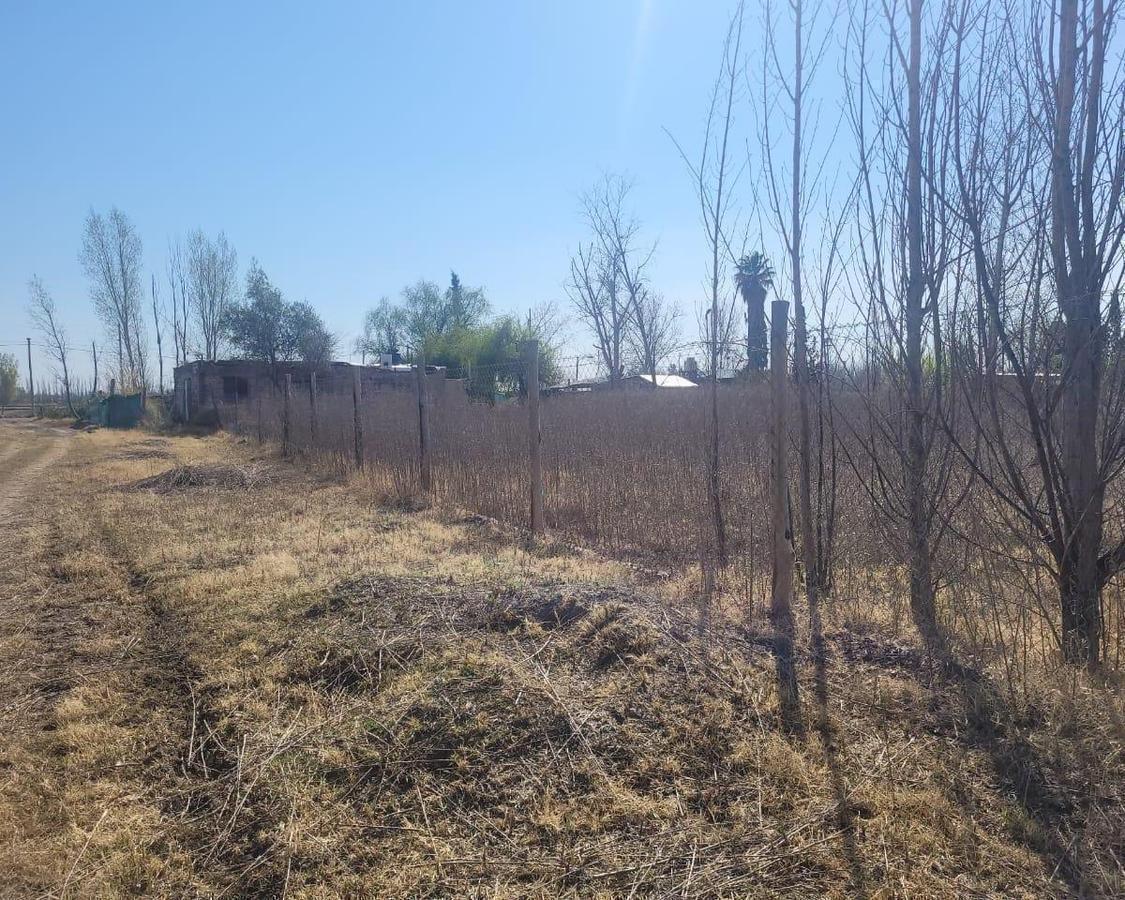 Foto de Lote en venta | Los Corralitos, Guaymallén | 2.000 m² · Con escritura ·, imagen 3