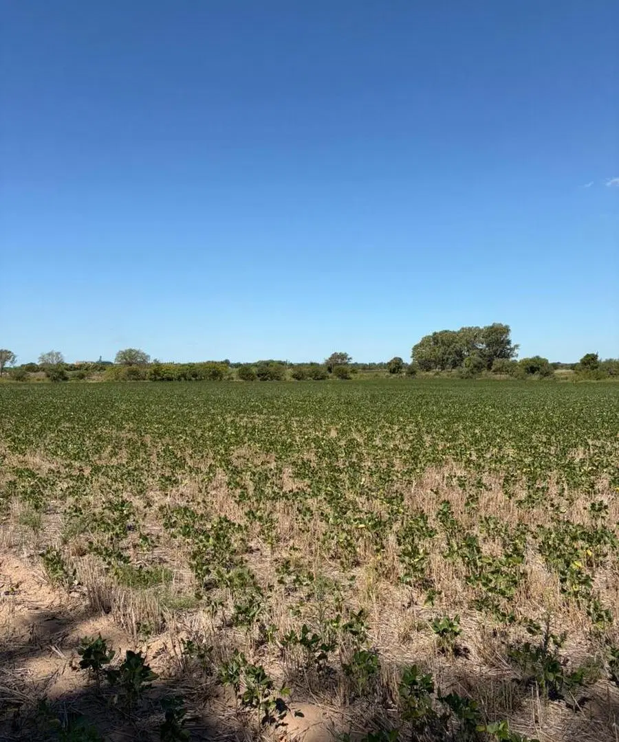 campo 6 hectáreas Arroyo Seco 3