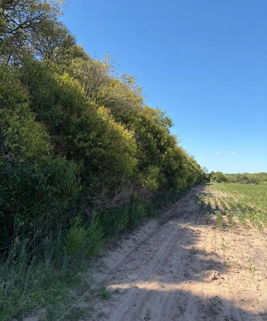 campo 6 hectáreas Arroyo Seco 2