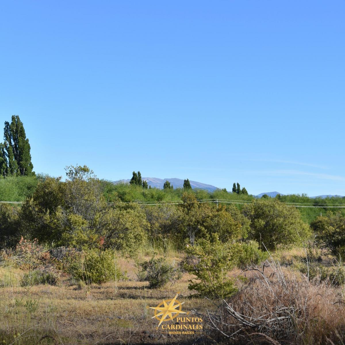Terreno Amplio y Estratégico a Pasos del Río Percy 2