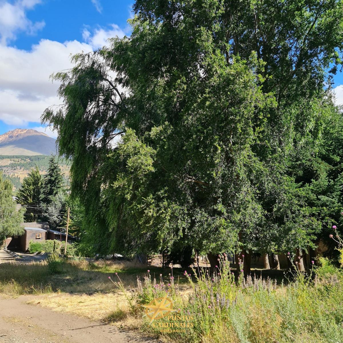 Terreno en Esquel con Todos Los Servicios y Vistas Espectaculares 5