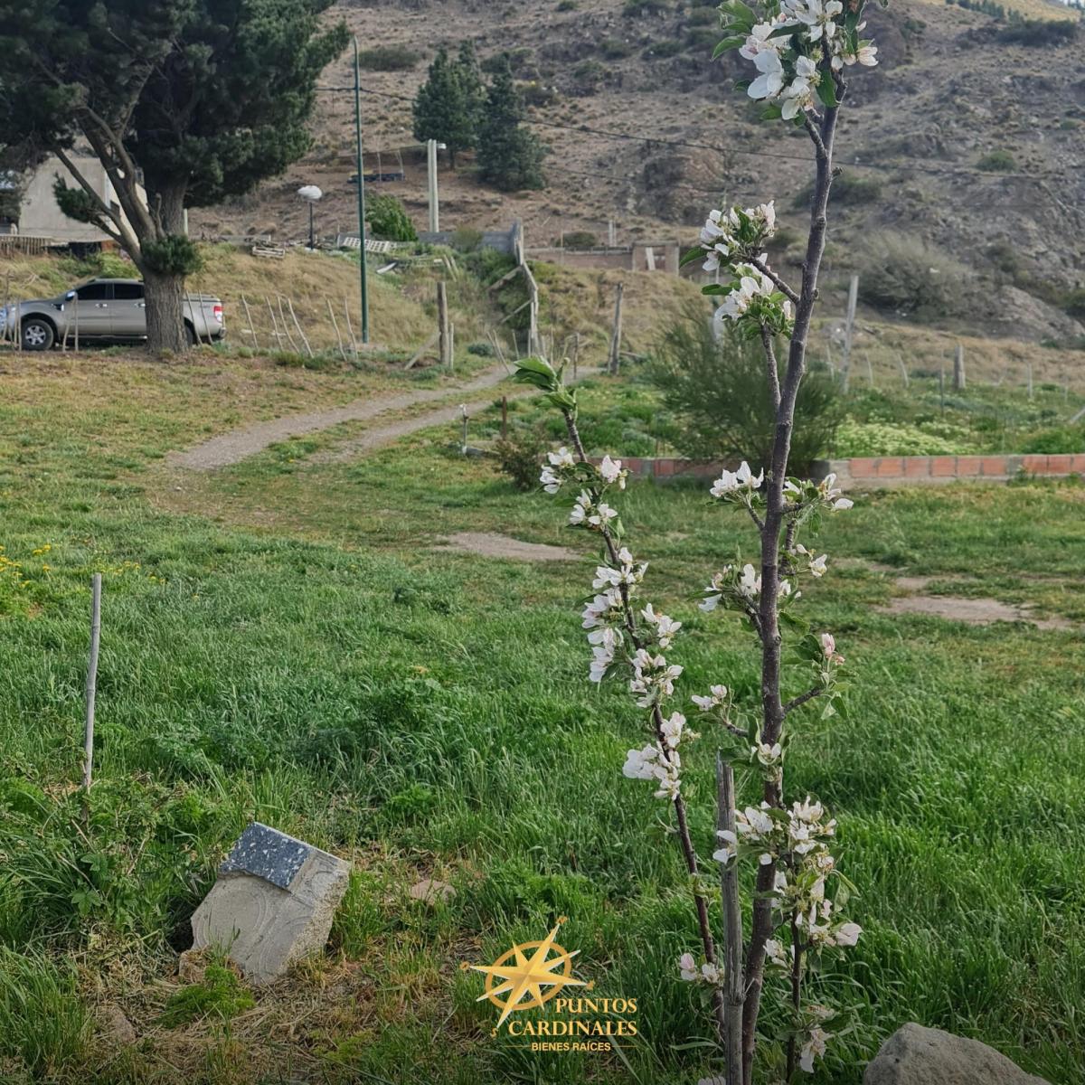 Terreno de 953 m² en Esquel, Ideal Para Tu Proyecto. 5