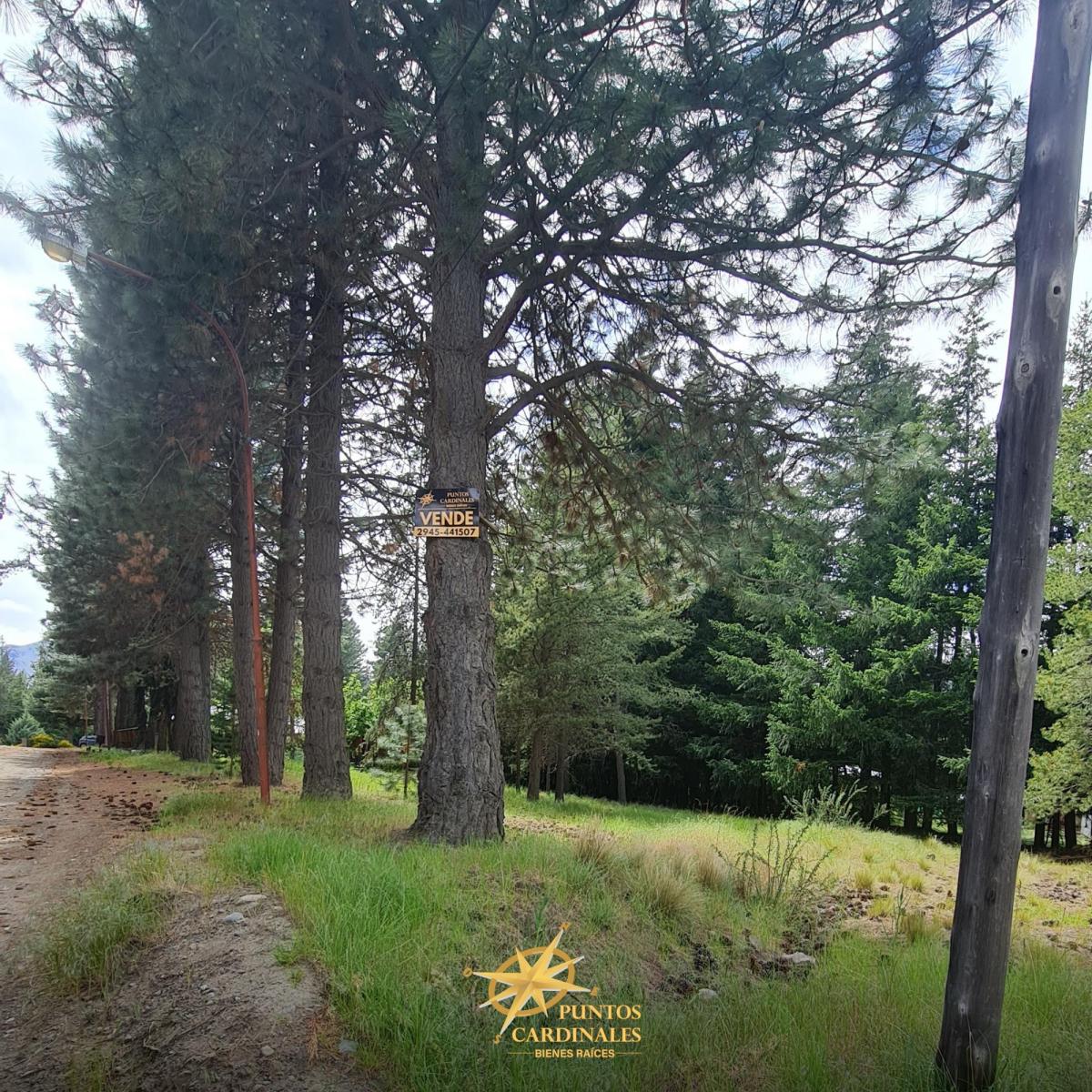 Terreno en Esquina en Villa Ayelén: 800 m² con Todos Los Servicios 3