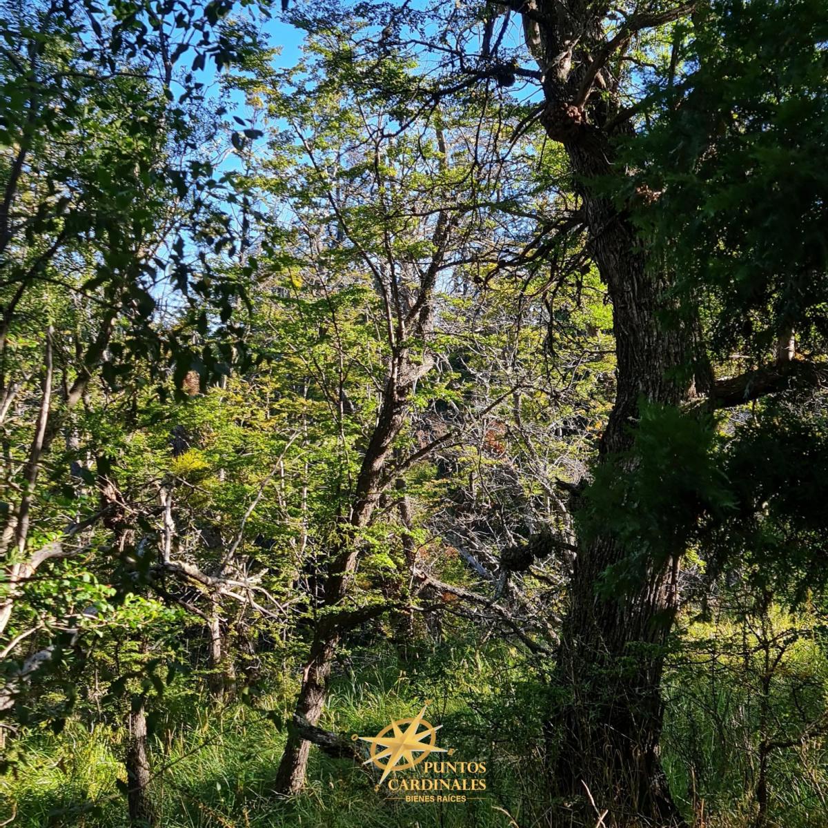 Lote 32: Naturaleza, Confort y Vistas Incomparables 1