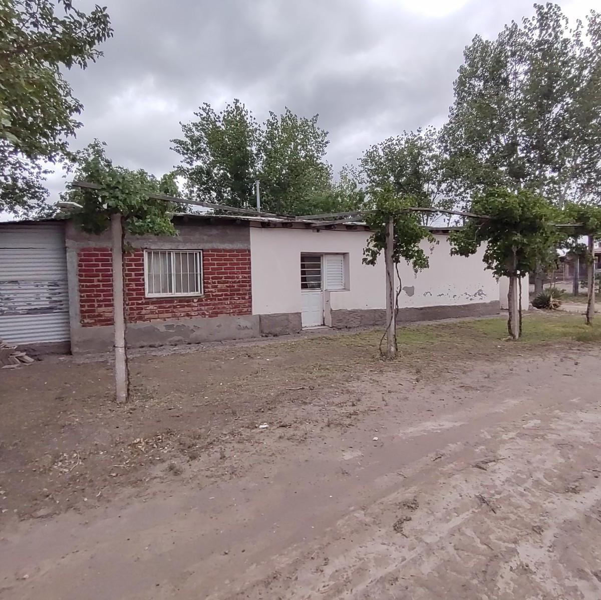 Finca en Venta, Junín, Mendoza 5