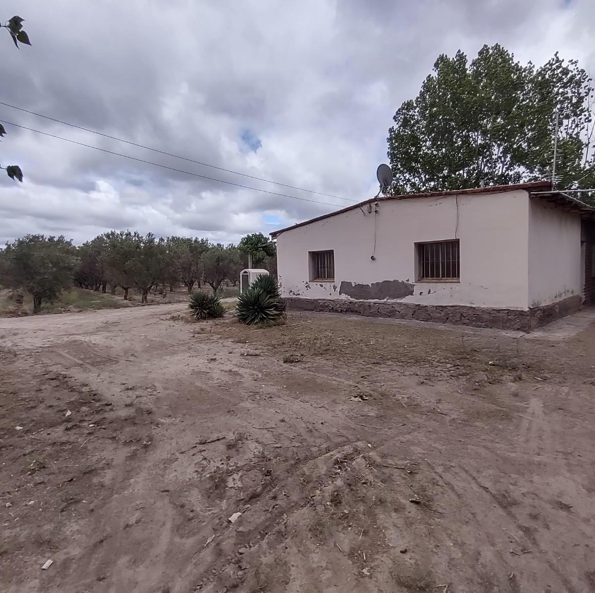 Finca en Venta, Junín, Mendoza 2