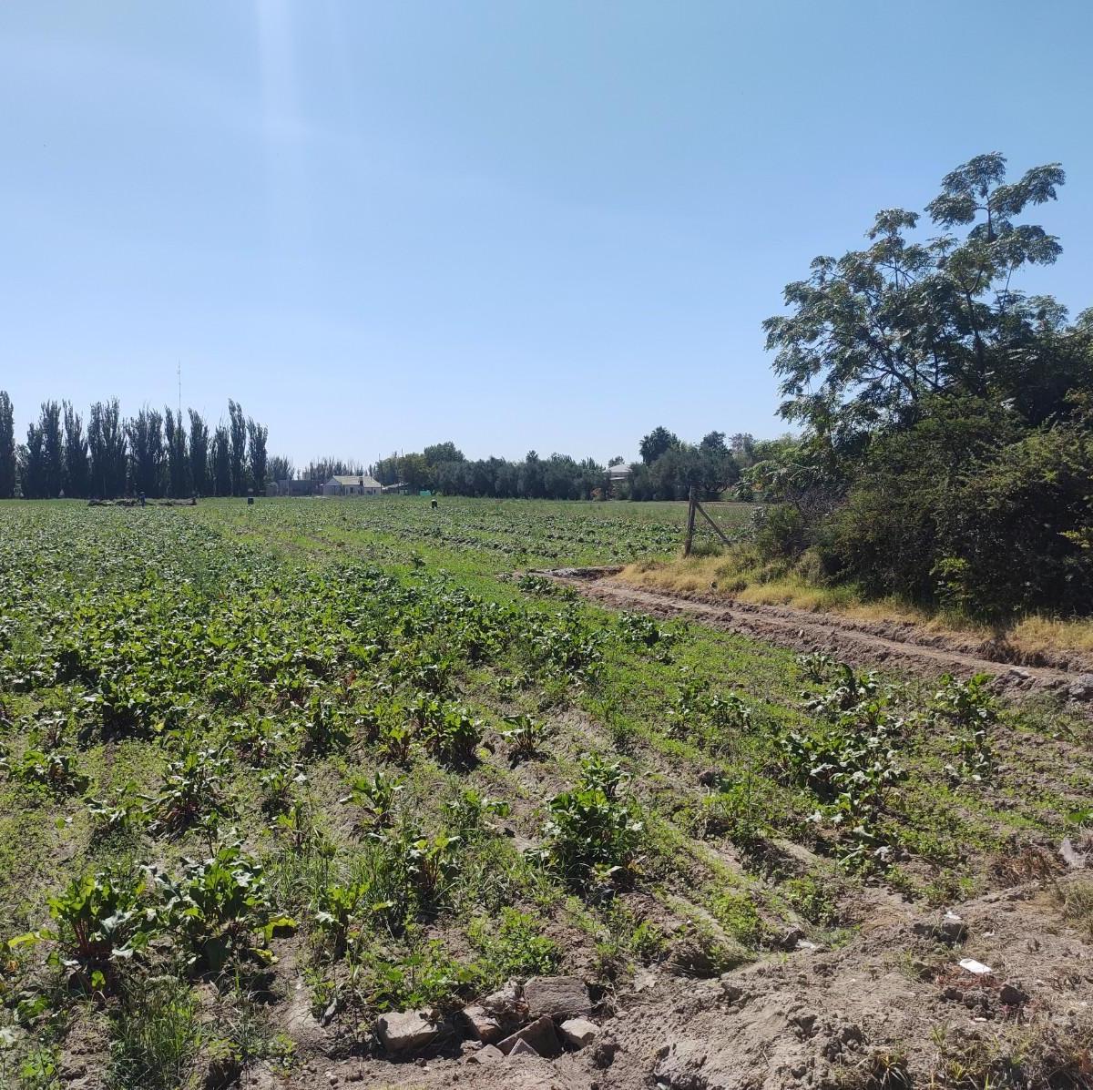 Propiedad en Argentina