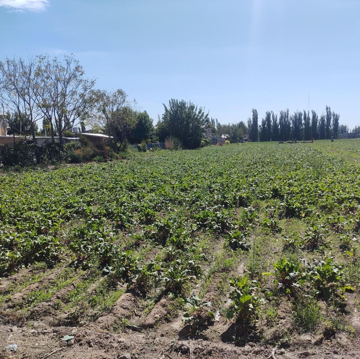 Terreno en Venta Corralitos, Guaymallén 1