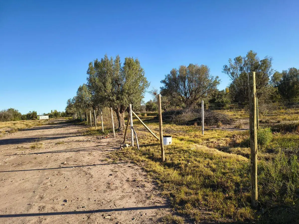 Lote en venta en Vistalba, sobre Roque Sáenz Peña 3