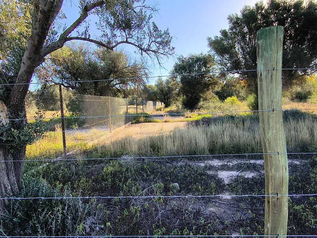 Lote en venta en Vistalba, sobre Roque Sáenz Peña 5