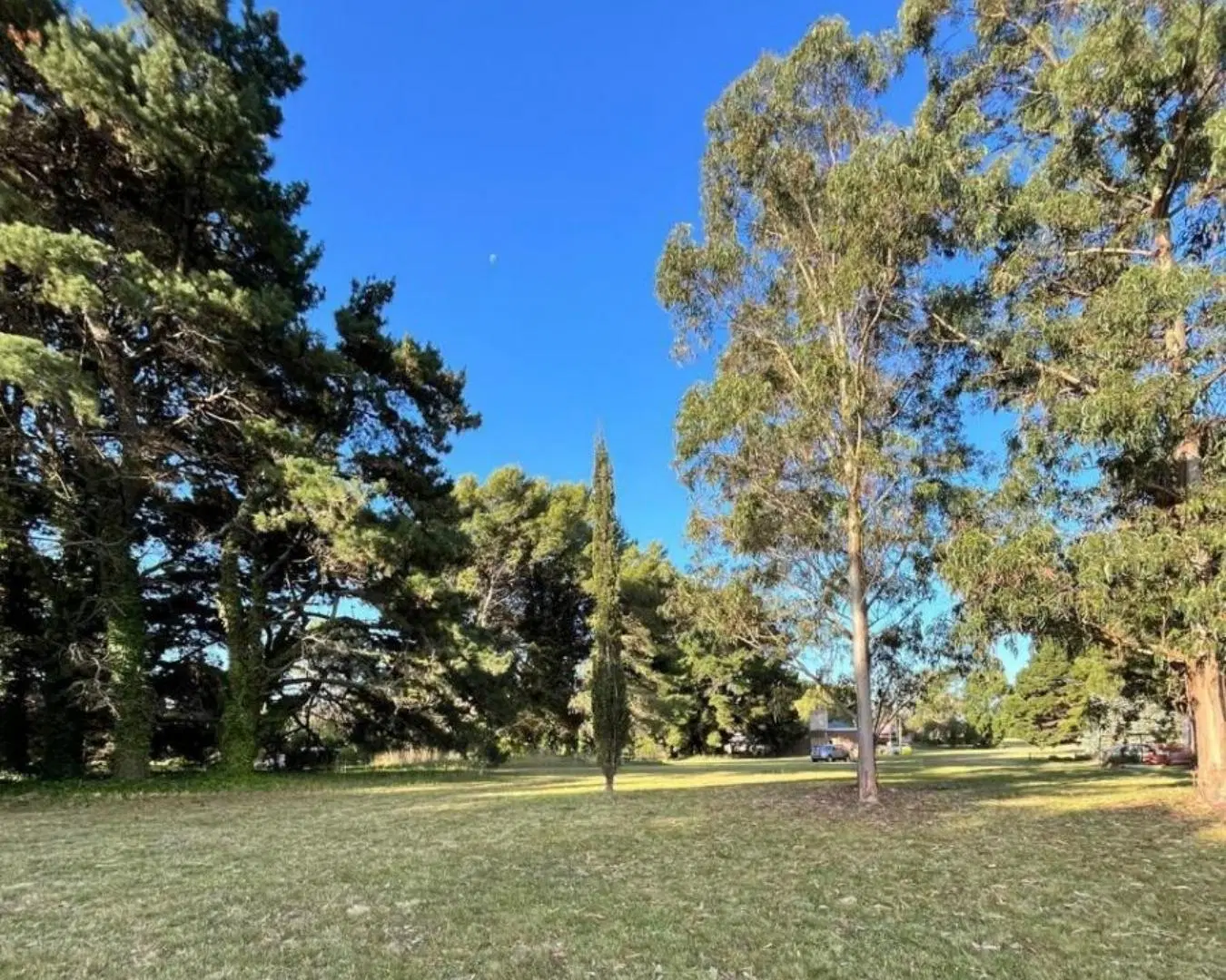Venta terreno en Miramar 4