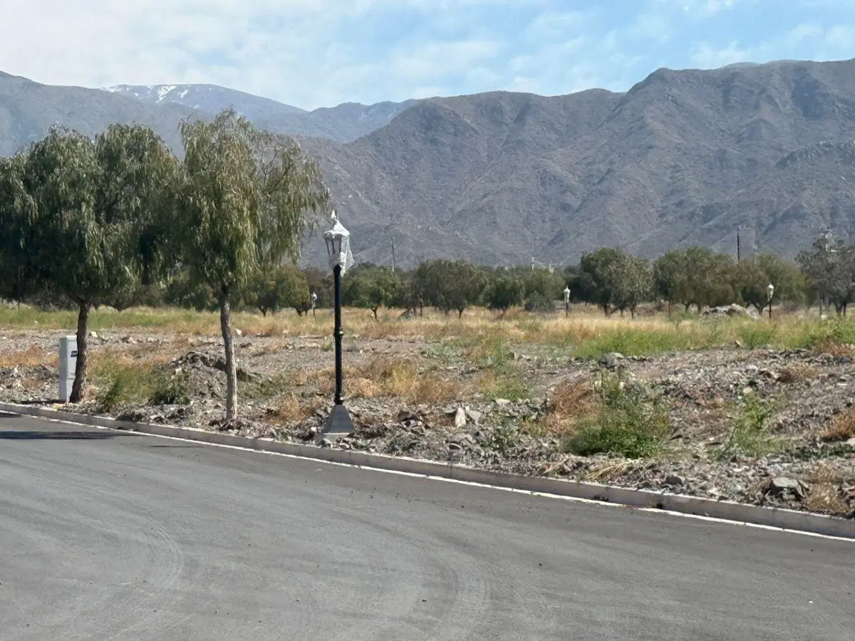 OPORTUNIDAD DALVIAN LOTE 7 TERRENO EN VENTA 500m2 3