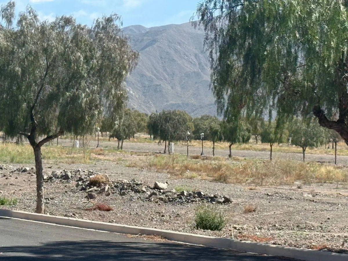 OPORTUNIDAD DALVIAN LOTE 7 TERRENO EN VENTA 500m2 5