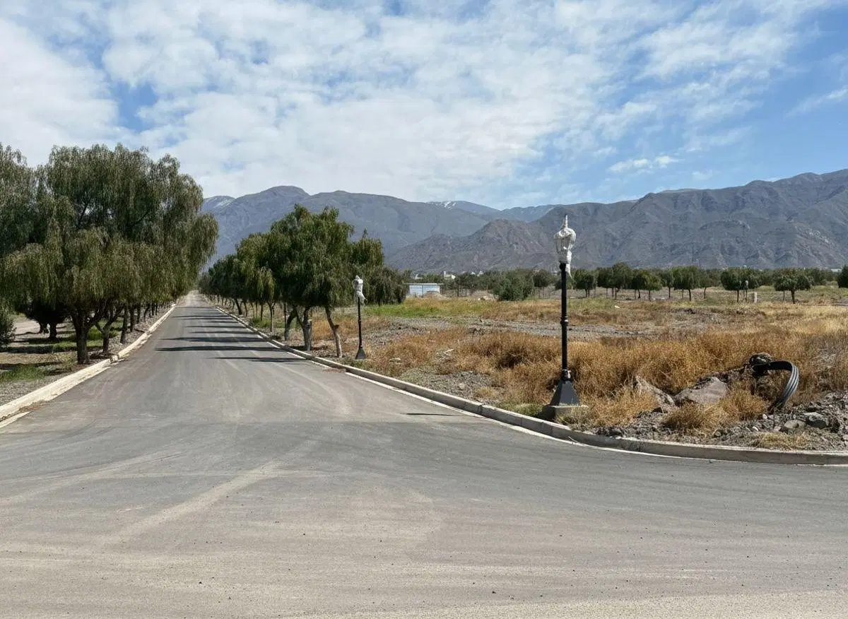 OPORTUNIDAD DALVIAN LOTE 7 TERRENO EN VENTA 500m2 8