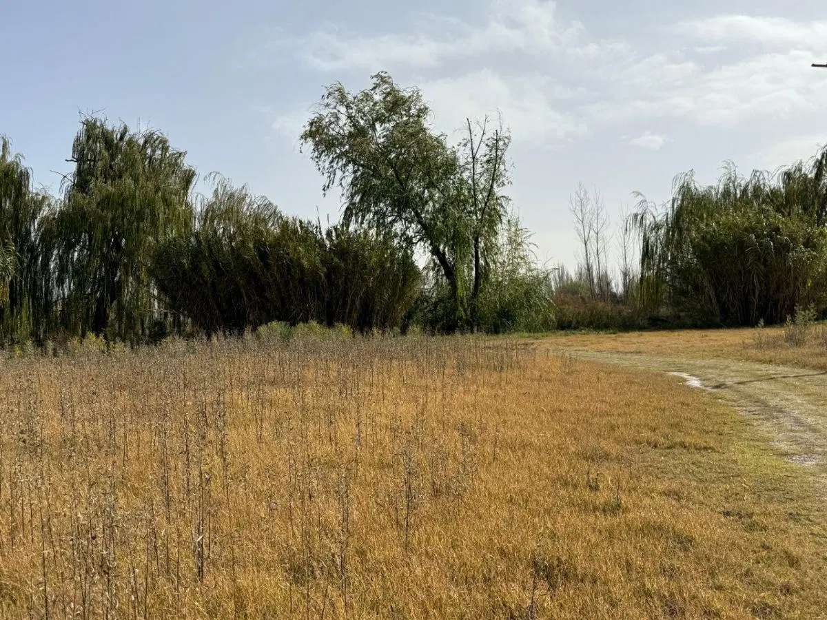 Terreno / Lote en venta de 466m2 ubicado en Tunuyán 1