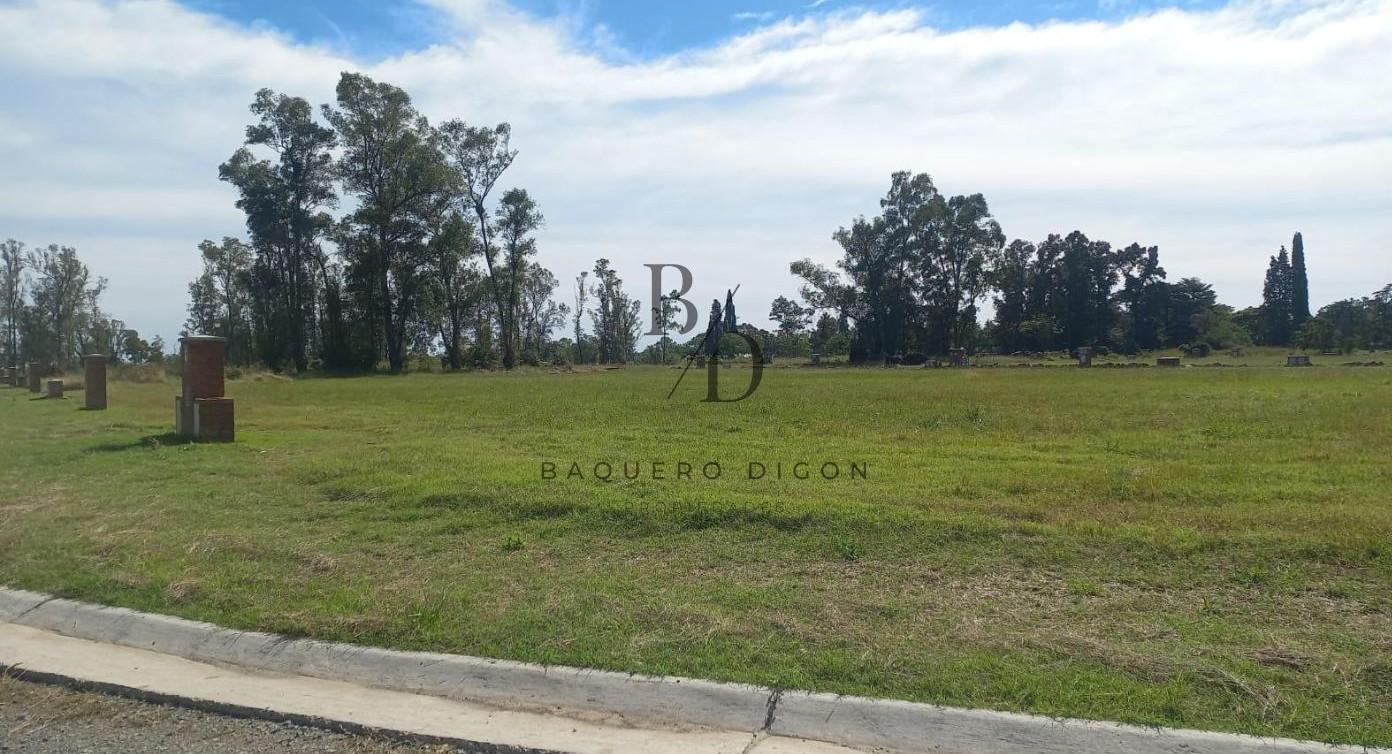 Foto de Lote en venta Santa Sofia - Pilar del Este, imagen 3