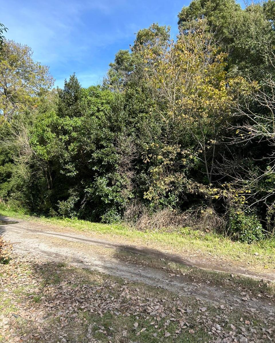 Lote de 20x80 en Esq. Calles Querandies y Guaranies de Punta Indio, Buenos Aires 2