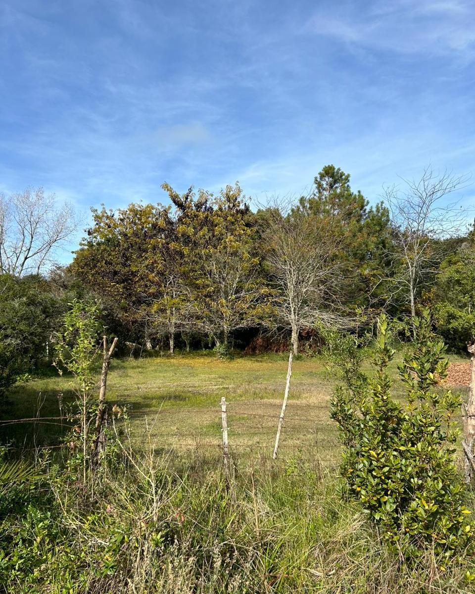 Lote de 20x80 en Esq. Calles Querandies y Guaranies de Punta Indio, Buenos Aires 5