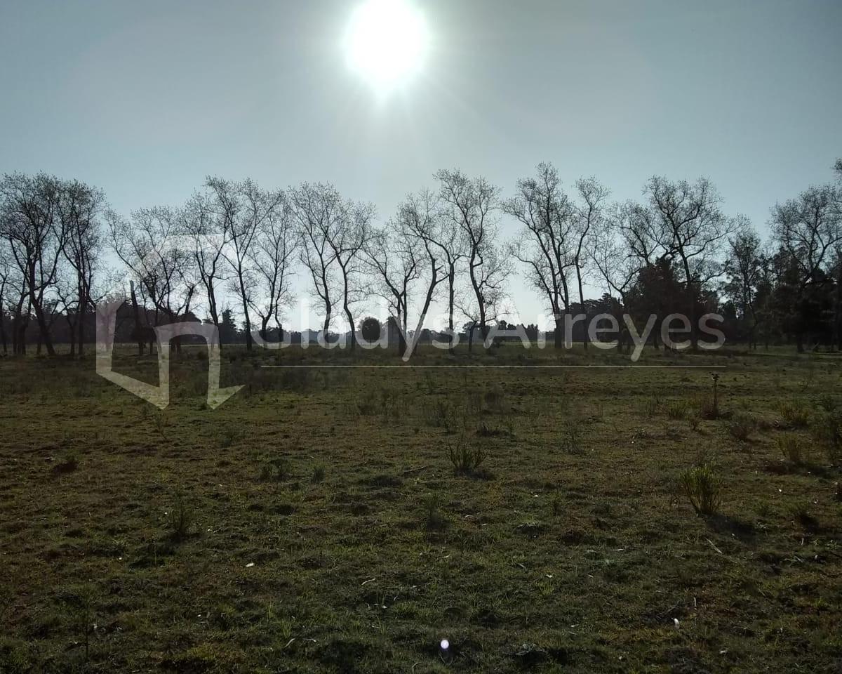 Foto de Lote De 20x69 En Las Tahonas, Punta Indio., imagen 3