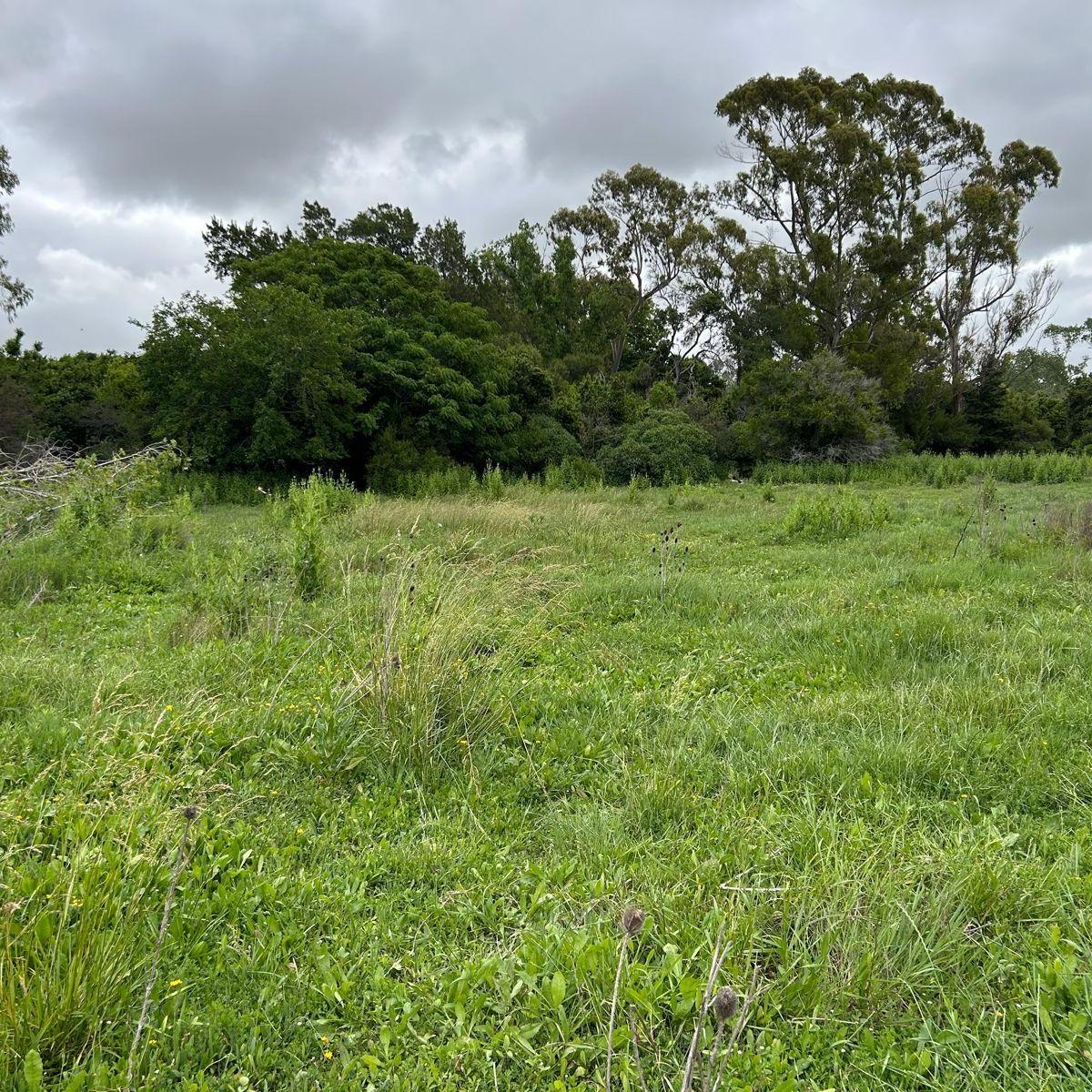 Lotes de 20x60 / Venta Conjunta o Individual en Punta Indio, Buenos Aires. 3