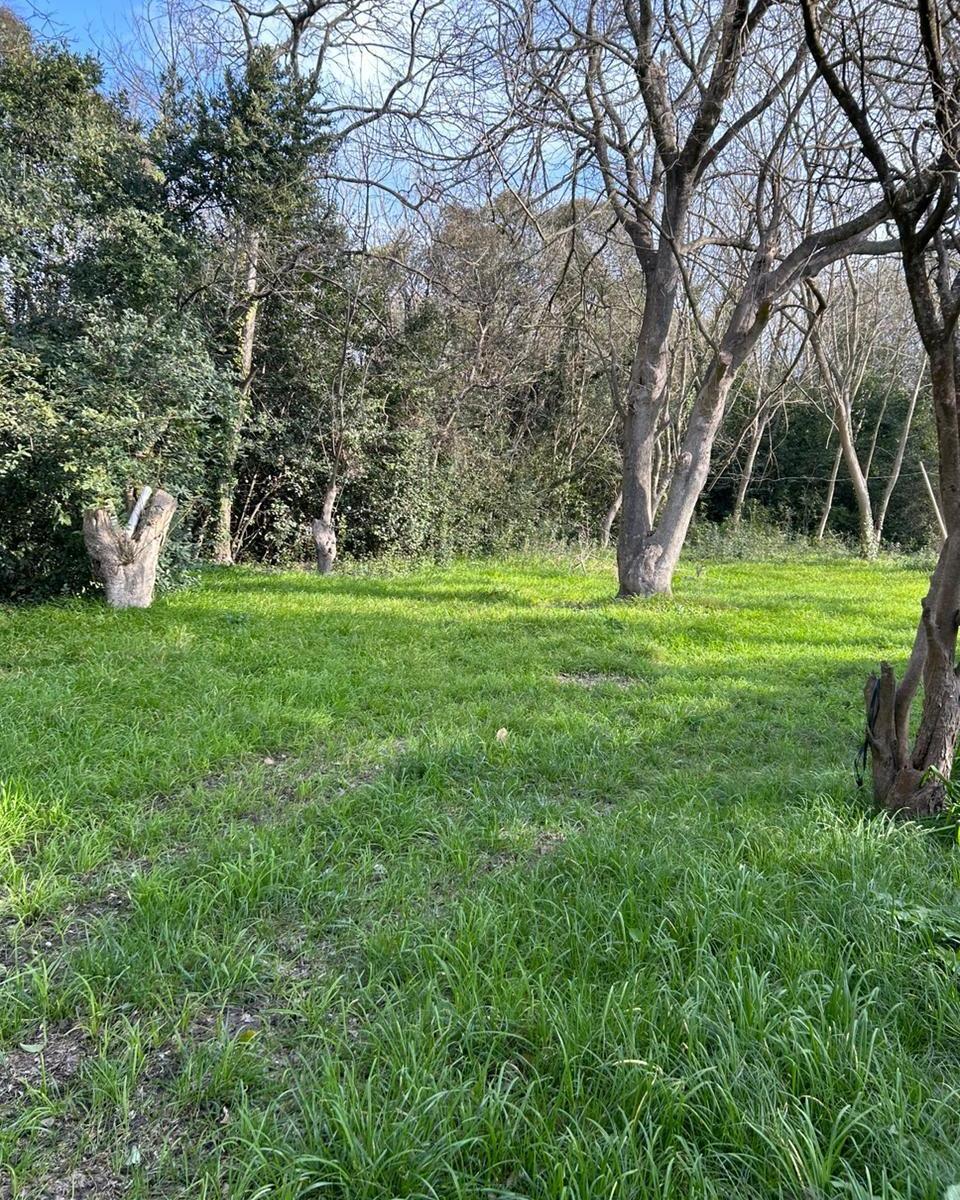 Lote de 40x167 en Punta Indio, Provincia de Buenos Aires. 1