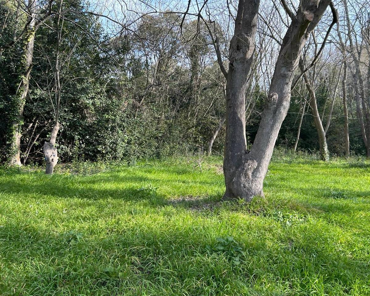 Lote de 40x167 en Punta Indio, Provincia de Buenos Aires. 3