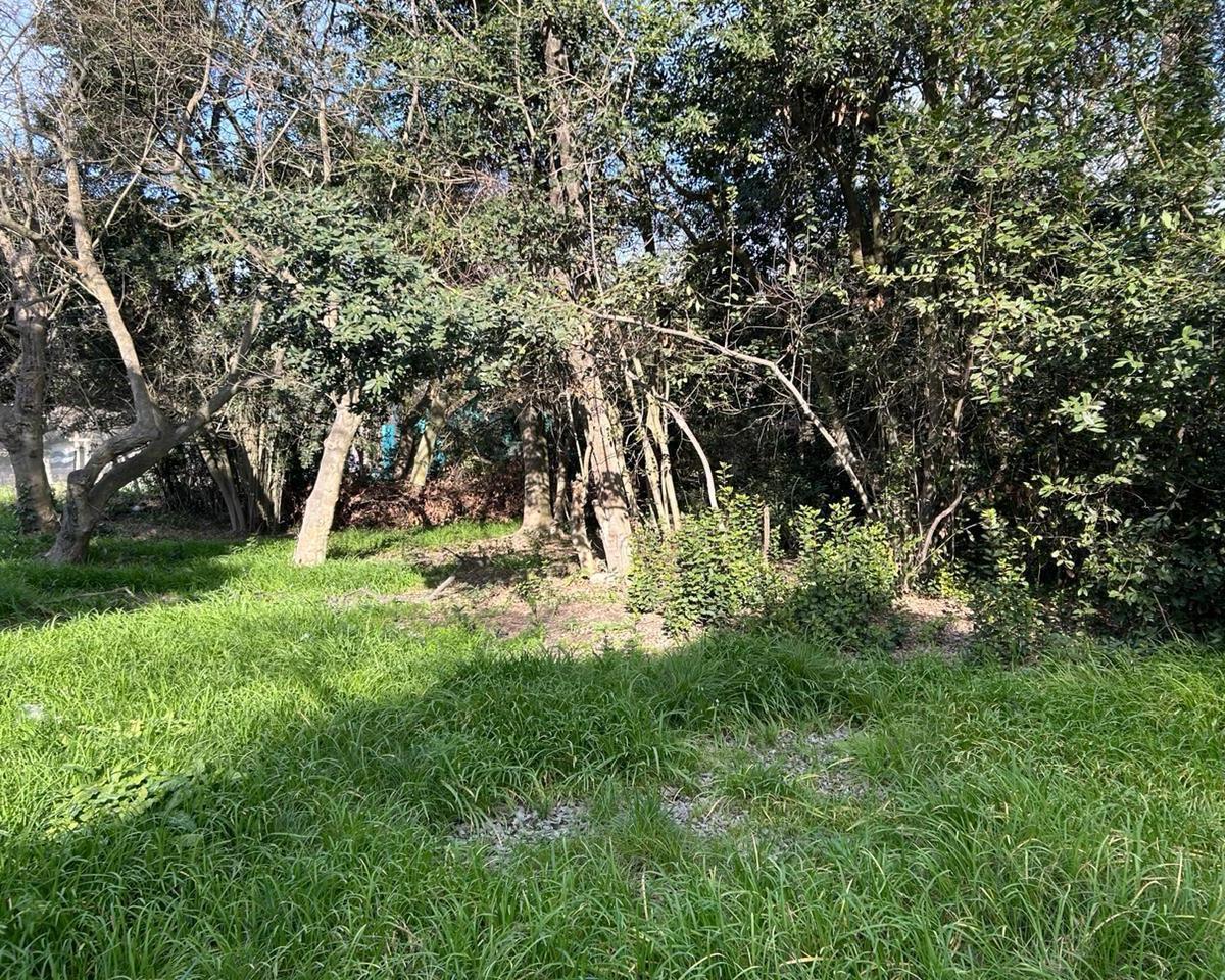 Lote de 40x167 en Punta Indio, Provincia de Buenos Aires. 4