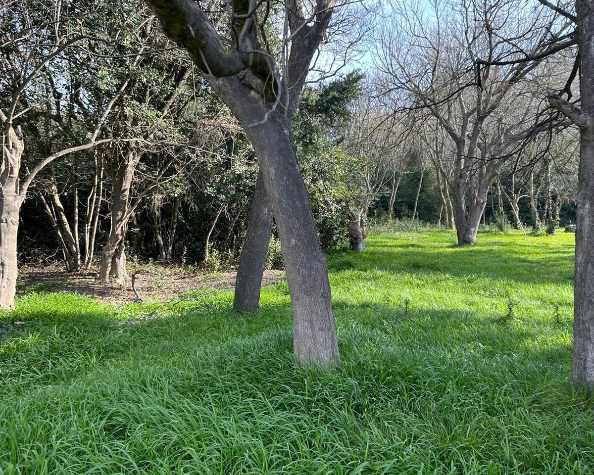 Lote de 40x167 en Punta Indio, Provincia de Buenos Aires. 5