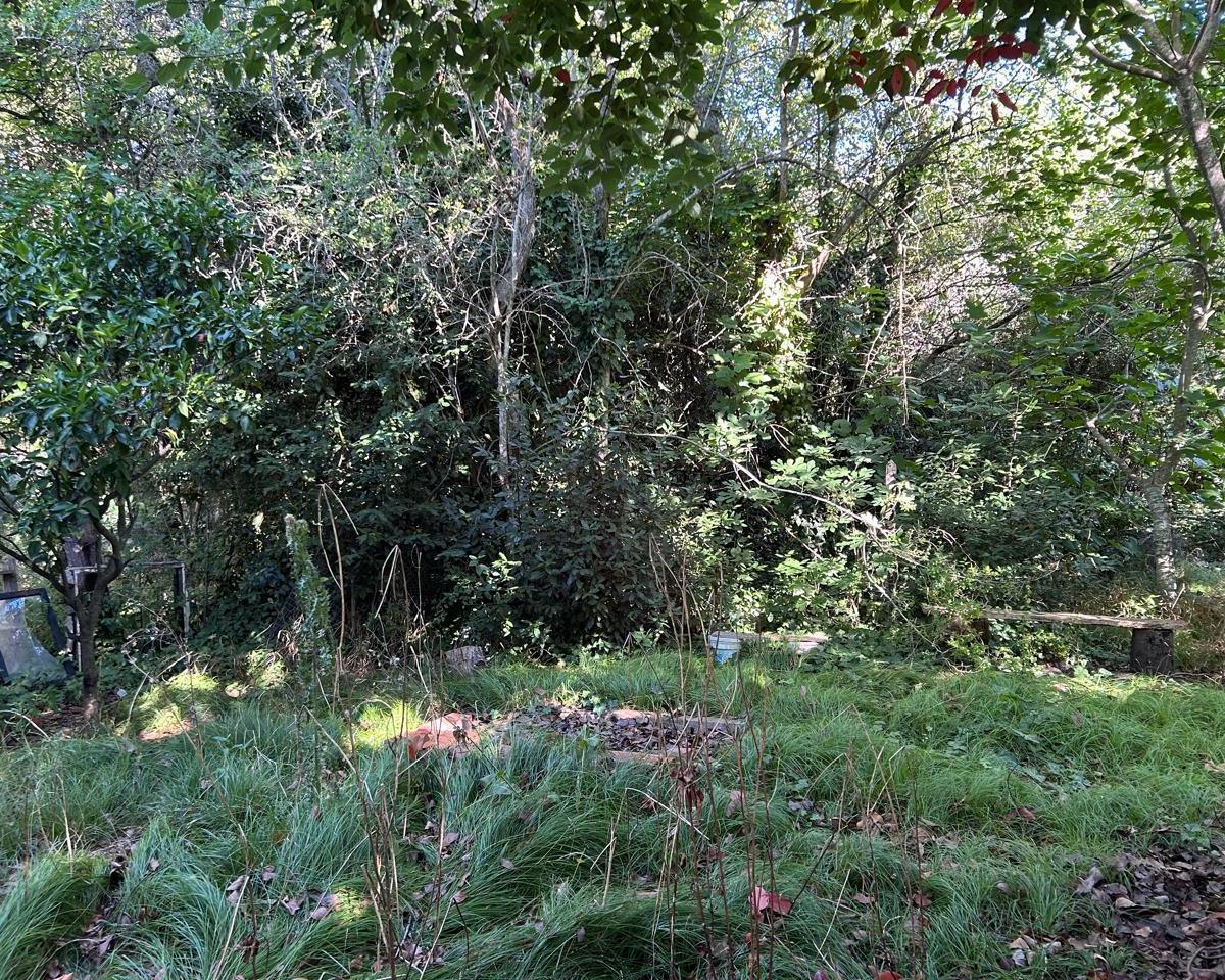 Lote de 20x40 m con Mejoras en Calle Huáscar, Localidad de Punta Indio 4
