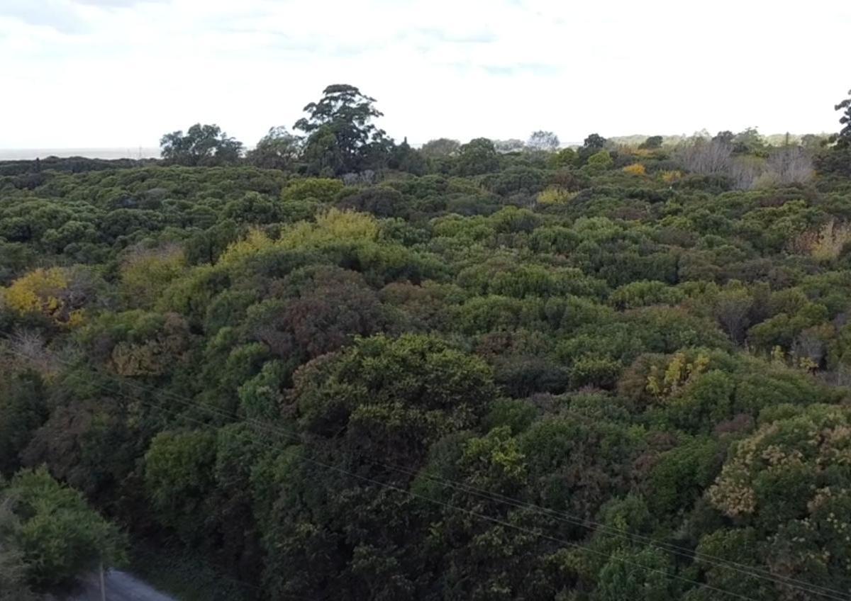Lote de 20x100 en Calle Guemes Entre Moreno y Sarmiento, Punta Indio 4