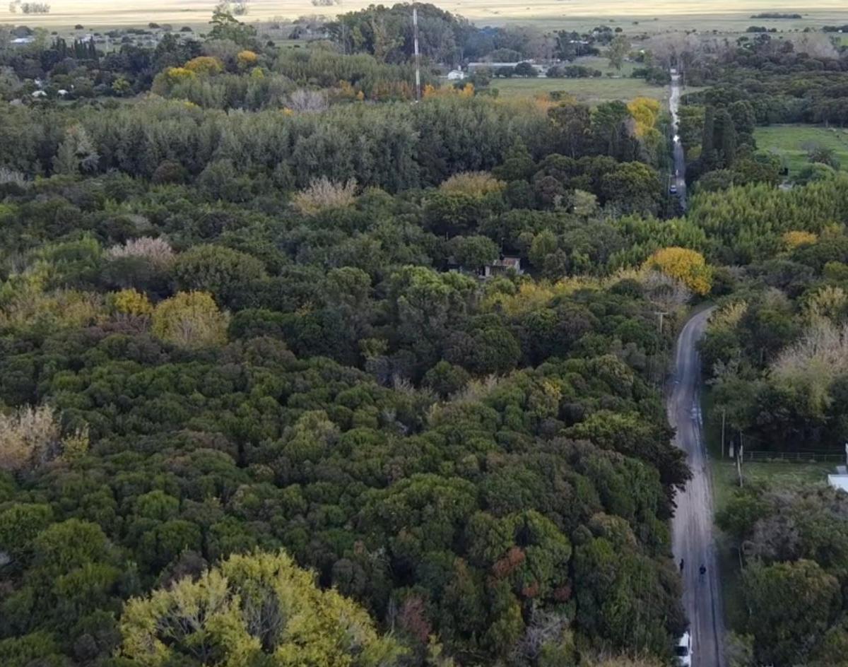 Lote de 20x100 en Calle Guemes Entre Moreno y Sarmiento, Punta Indio 5