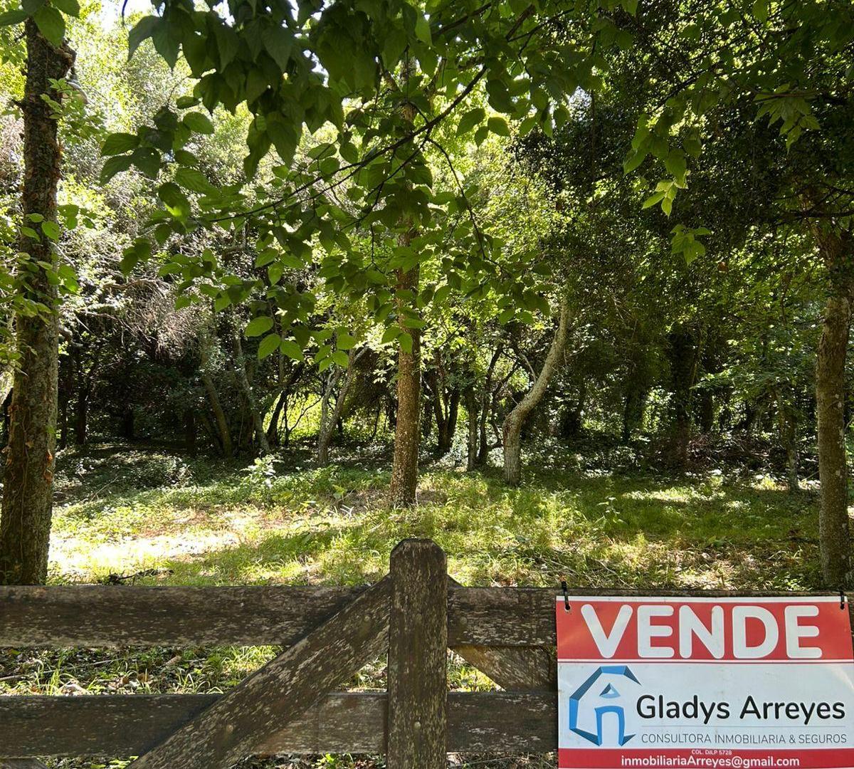 Foto de En venta lote 18x60 calle Moreno entre Pringles y Laprida, Punta del, imagen 2