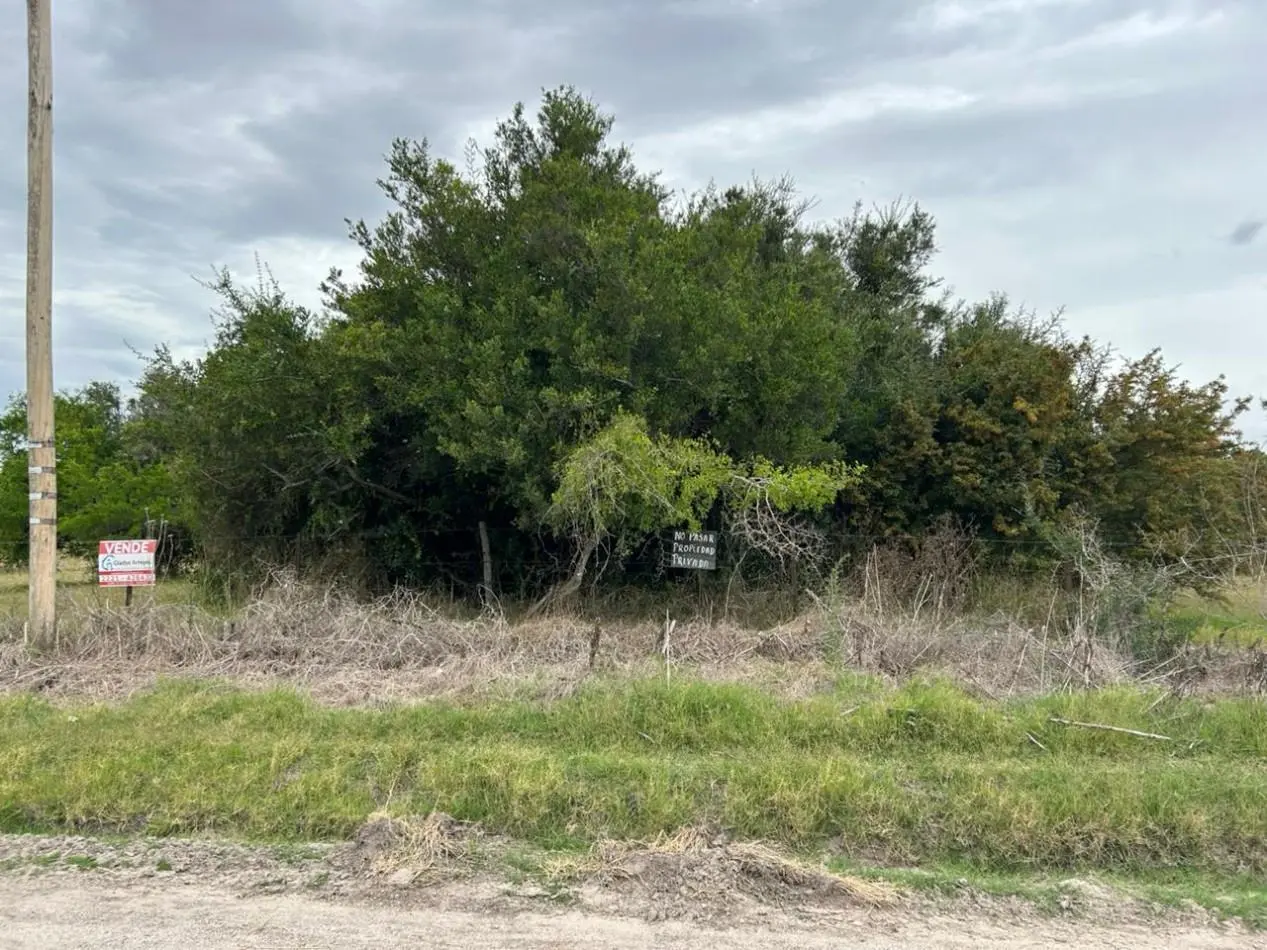 En venta lote de 20x70 en calle Mamboreta, Punta del Indio 2
