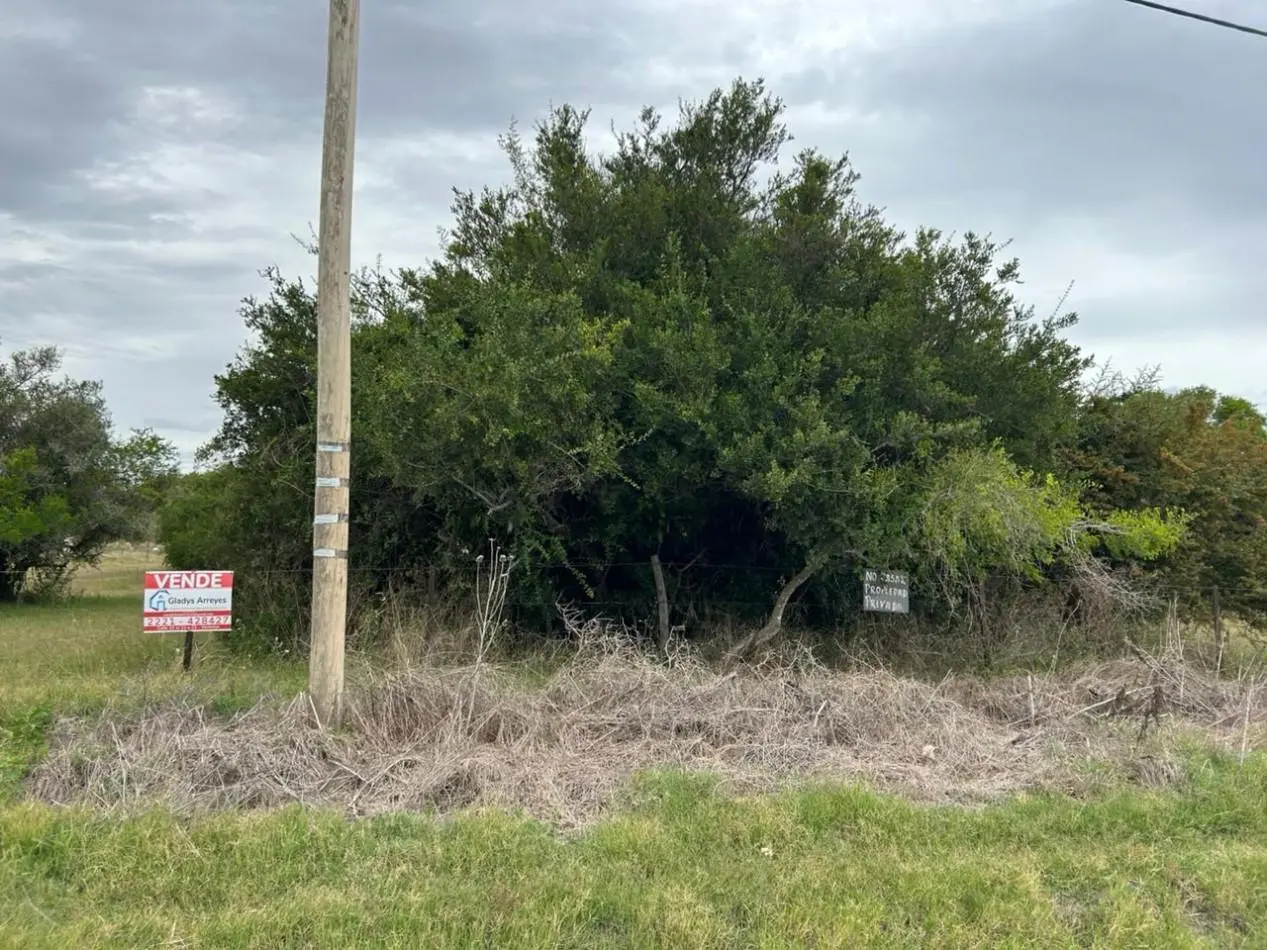 En venta lote de 20x70 en calle Mamboreta, Punta del Indio 4