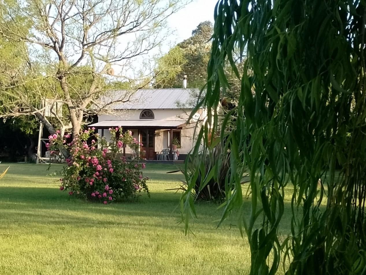 Foto de Casa campestre estilo cabaña loft de doble altura en calle El Pericon, imagen 4